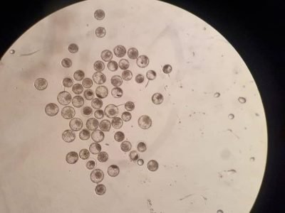 WhatsApp Image 2024-01-09 at 23.48.14