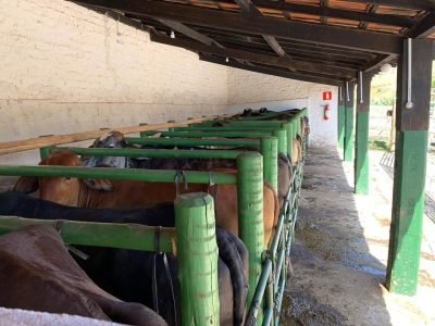 WhatsApp Image 2024-01-09 at 23.48.16