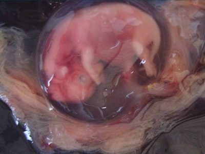 WhatsApp Image 2024-01-09 at 23.48.17 (1)